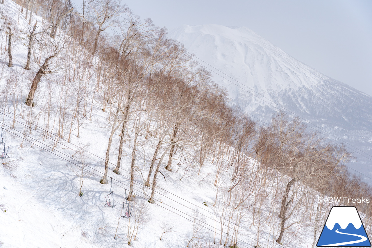 ニセコビレッジ ＆ ニセコHANAZONOリゾート ＆ ニセコ東急 グラン・ヒラフ｜現在も全エリアで山頂から山麓まで大部分滑走可能！とにかく広い世界のニセコ(^^)v